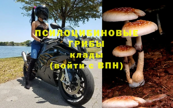 прущая мука Медногорск