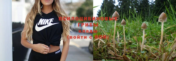 кокаин Богданович