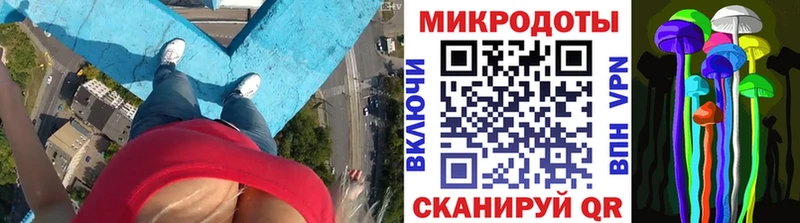 Псилоцибиновые грибы MAGIC MUSHROOMS  Купить где  Аргун 